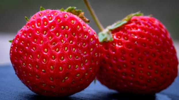 Close up of fresh strawberries showing seeds achenes. Details of fresh ripe red strawberries.