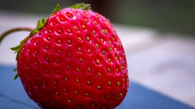 Close up of fresh strawberry showing seeds achenes. Details of a fresh ripe red strawberry.