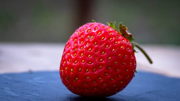 Close up of fresh strawberry showing seeds achenes. Details of a fresh ripe red strawberry.