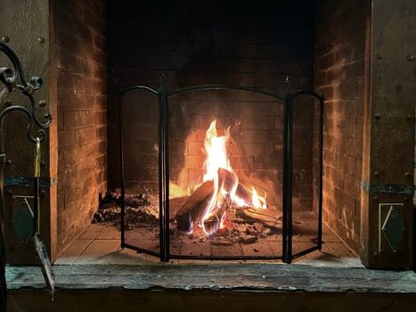 fire in a hot fireplace. High quality photo.
