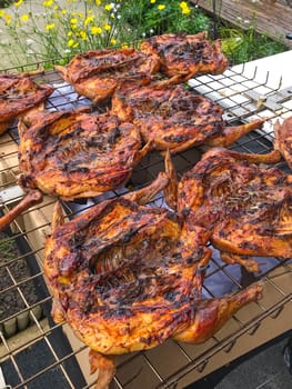 Delicious chickens wings and lamb barbecue on hot grill. High quality photo