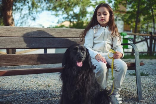 Caucasian adorable little child girl sitting on a city bench, taking her pedigree cocker spaniel dog for a walk o the nature. Playing pets. People, childhood and dog as best companion.