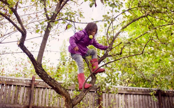 Little girl with apples in her hand and mouth climbing down a tree