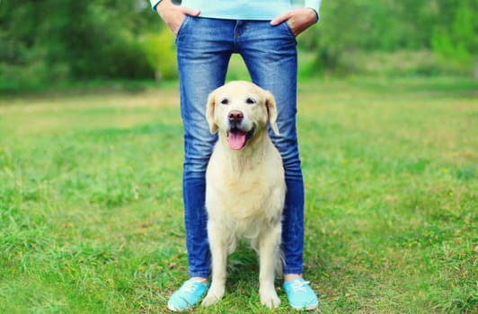 Golden Retriever dog obedient sitting at the feet of its owner in summer park