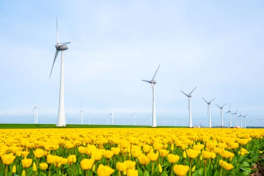 windmill park with tulip flowers in Spring, windmill turbines in the Netherlands Europe. windmill turbines in the Noordoostpolder Flevoland, carbon neutral zero waste