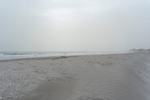 Nice beach with a gray sky and many seashells brought by the storm, the sea is rough, lido Adriano, Ravenna.