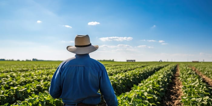 Farmer observing lush soybean field under clear sky