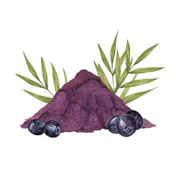 Acai berries superfood, diet powder and palm leaves. Fresh tropical berries and dried pulp set. Watercolor illustration for printing, packaging, cosmetics, granola, smoothie, supplements, labels