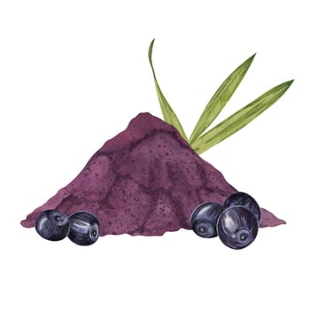 Acai berries superfood, diet powder and palm leaves. Fresh tropical berries and dried pulp set. Watercolor illustration for printing, packaging, cosmetics, granola, smoothie, supplements, labels