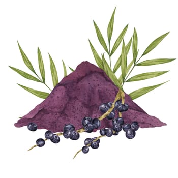 Acai berries superfood, powder and palm leaves. Exotic purple tropical berries and dried pulp set. Watercolor illustration for printing, packaging, cosmetics, granola, smoothie, supplements, labels