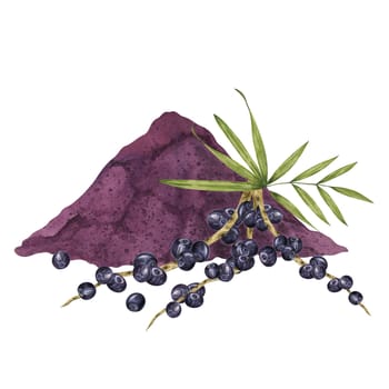 Acai berries superfood, diet powder and palm leaves. Fresh tropical berries and dried pulp set. Watercolor illustration for printing, packaging, cosmetics, granola, smoothie, supplements, labels