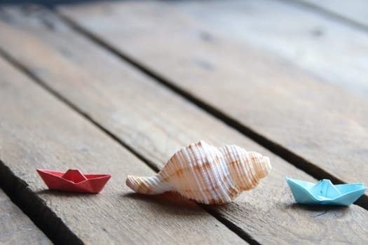 Seashell on a wooden background. Summer background.