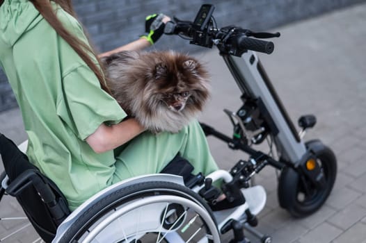 A woman in a wheelchair with a hand-control assist device carries a Spitz merle dog. Electric handbike