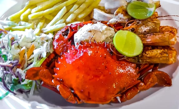 Lobster Shrimps Crabs Squid Seafood on plate in the hand in Bentota Beach Galle District Southern Province Sri Lanka.