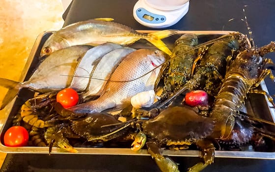 Lobster Shrimps Crabs Squid Seafood on plate in the hand in Bentota Beach Galle District Southern Province Sri Lanka.