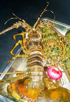 Lobster Shrimps Crabs Squid Seafood on plate in the hand in Bentota Beach Galle District Southern Province Sri Lanka.