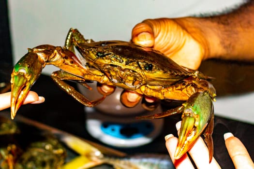 Lobster Shrimps Crabs Squid Seafood on plate in the hand in Bentota Beach Galle District Southern Province Sri Lanka.