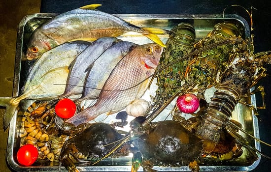 Lobster Shrimps Crabs Squid Seafood on plate in the hand in Bentota Beach Galle District Southern Province Sri Lanka.