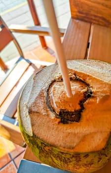 Tropical coconut with straw on the table in Zicatela Puerto Escondido Oaxaca Mexico.