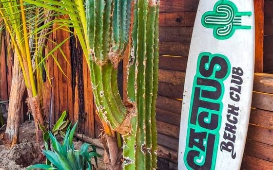 Advertising sign on surfboard surf board cactus beach club in Zicatela Puerto Escondido Oaxaca Mexico.