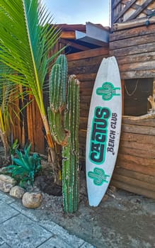 Advertising sign on surfboard surf board cactus beach club in Zicatela Puerto Escondido Oaxaca Mexico.