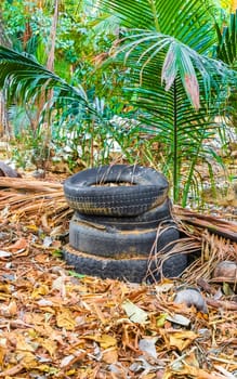 Old tires in the tropical nature garbage in Zicatela Puerto Escondido Oaxaca Mexico.