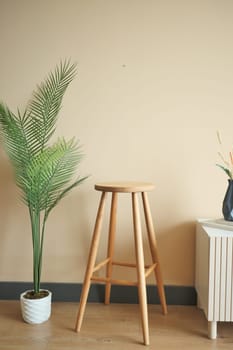 Wooden stool and potted plant complement rooms interior design.