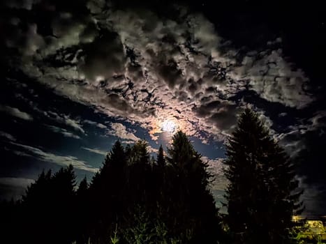 Moonlit Night Sky Over Silhouetted Pines. A full moon illuminates the clouds and silhouette of pine trees at night