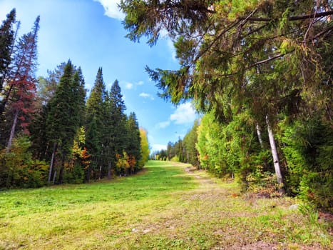 A verdant hill used for skiing in winter, now basks in summers embrace