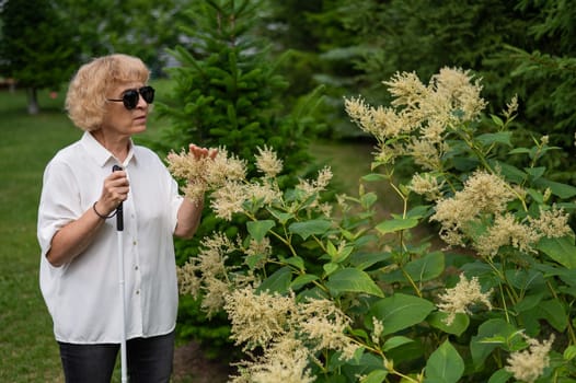 An elderly blind woman smells a flowering shrub while walking in the park