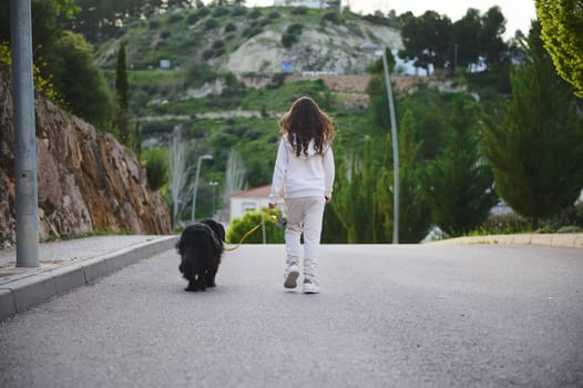 Back view of adorable little kid girl in white sportswear,enjoying a walking with her dog on leash on the nature outdoors, against sunset sunbeams background. People, playing pets and nature concept
