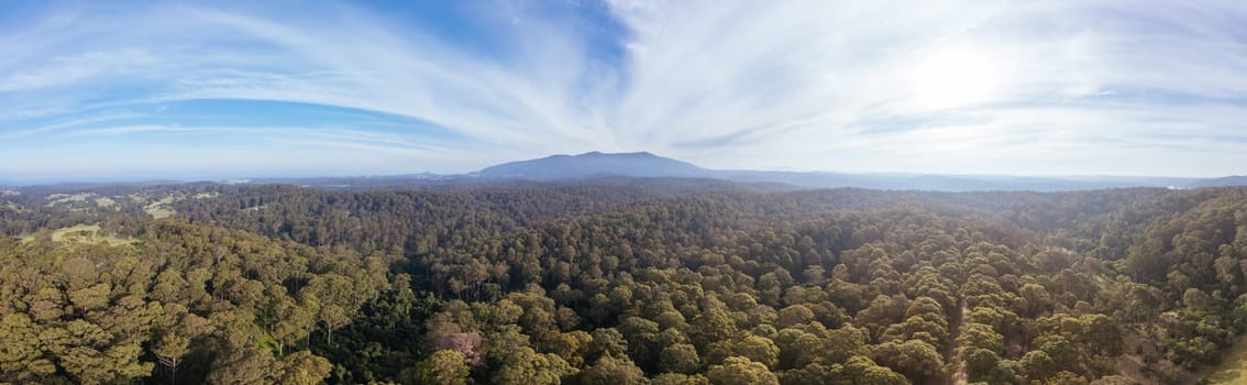 Aerial view near Central Tilba of Mount Dromedary in Gulaga National Park in New South Wales, Australia