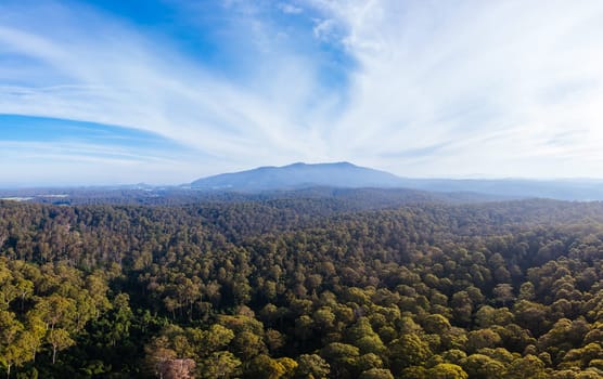 Aerial view near Central Tilba of Mount Dromedary in Gulaga National Park in New South Wales, Australia