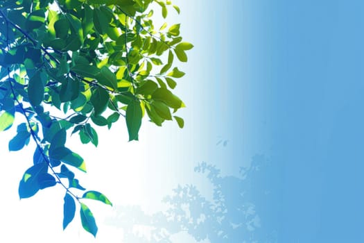 Green leaves with a blue background AIG51A.