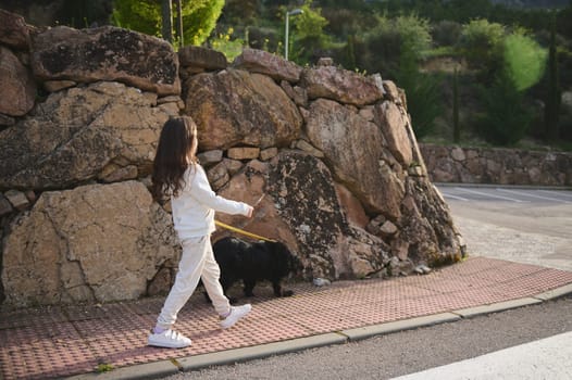 Full length portrait of a Caucasian little child girl in sportswear, taking her purebred cocker spaniel dog for a walk on leash on the street in the morning. People and animals. Playing pets concept