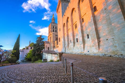 Ancient city of Avignon square and Pope palace view, southern France