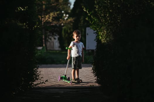 preschooler boy walks in the park with a scooter in the summer