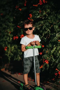 portrait of a preschool boy on a scooter in the summer in the park