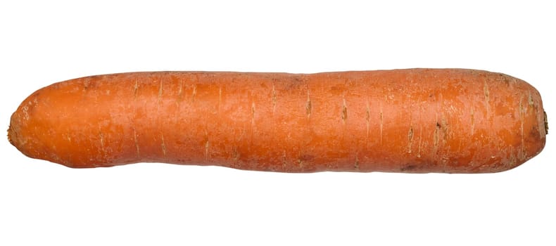 Whole raw carrot on white isolated background, close up