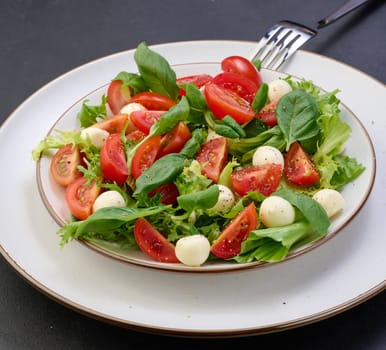 Salad with mozzarella, cherry tomatoes and green lettuce in a white round plate, close up