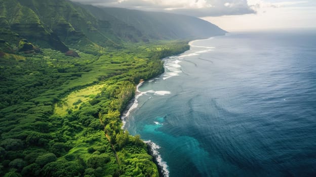 A breathtaking aerial view of a cliff above the ocean with stunning natural landscape, water merging with the sky, and terrestrial plants lining the beach AIG50