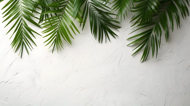 Tropical palm leaves contrast beautifully against a white marble background, creating a serene image of nature. The evergreen plant stands out under a sky dotted with clouds