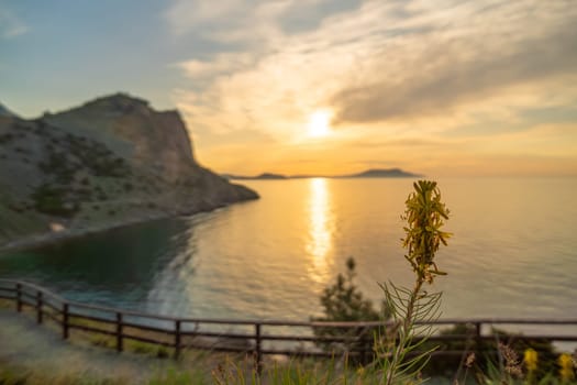 A yellow flower is in front of a body of water. The sky is cloudy and the sun is setting