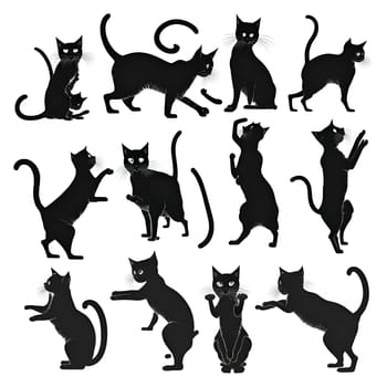 Vector illustration of a cats set in black silhouette against a clean white background, capturing graceful forms.