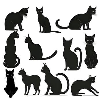 Vector illustration of a cats set in black silhouette against a clean white background, capturing graceful forms.