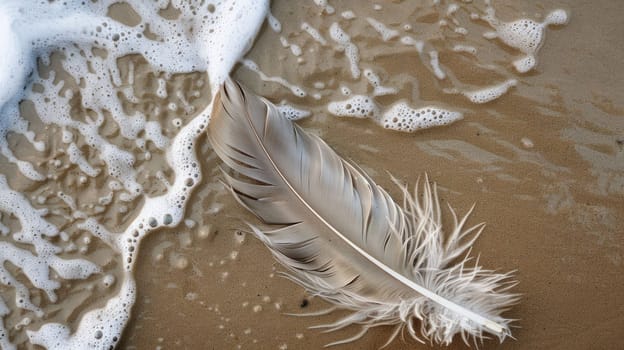 a feather is laying on the beach near the water . High quality AIG50