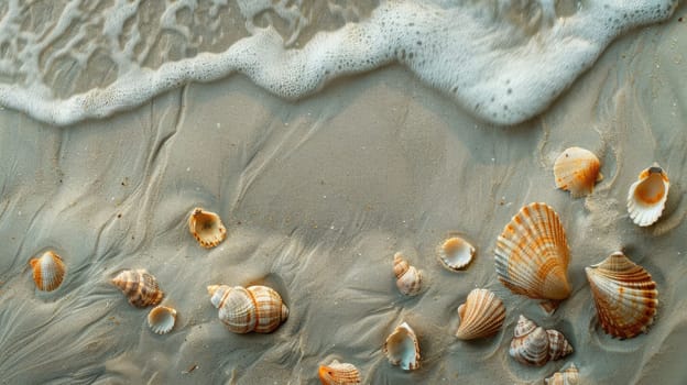 Various mollusc shells are scattered on the sandy beach, creating a beautiful pattern. These natural materials originate from the water and terrestrial animals AIG50