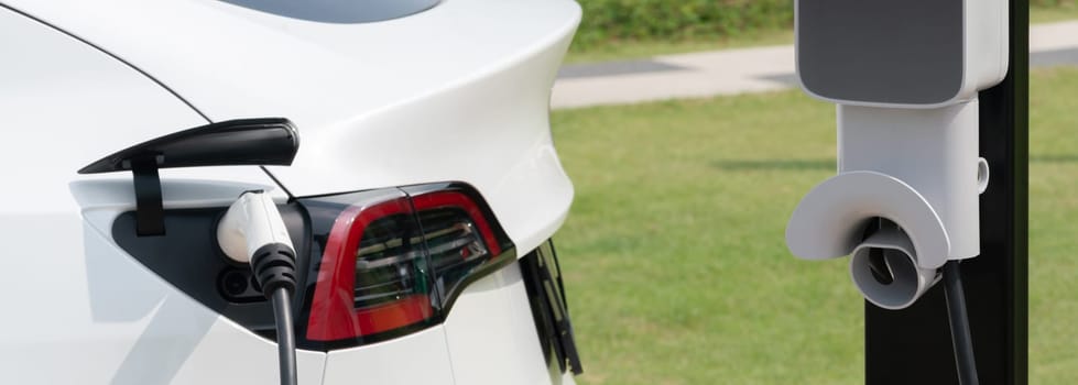 Closeup EV electric car recharge battery at parking lot in green city park. Alternative clean energy technology for rechargeable automobile for sustainable eco friendly urban travel.Panorama Expedient