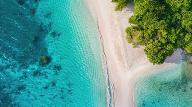 A stunning natural landscape featuring a beach lined with trees, surrounded by turquoise water. Perfect for a peaceful and relaxing travel destination AIG50