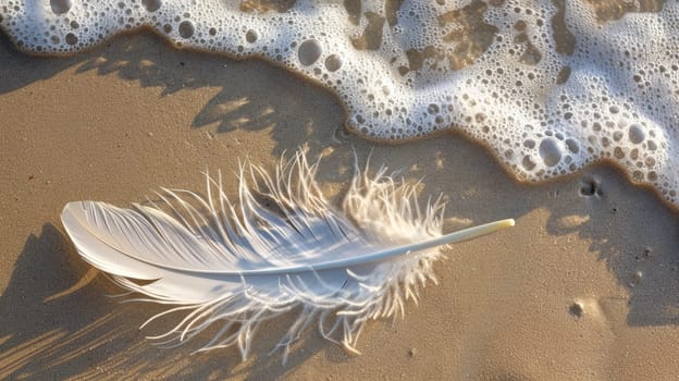 a feather is laying on the beach near the water . High quality AIG50